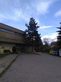 Borovice ern, vka: 29 krok, ka: 13 dlan
